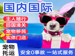 唐山三女河空运地址国际宠物托运 【国